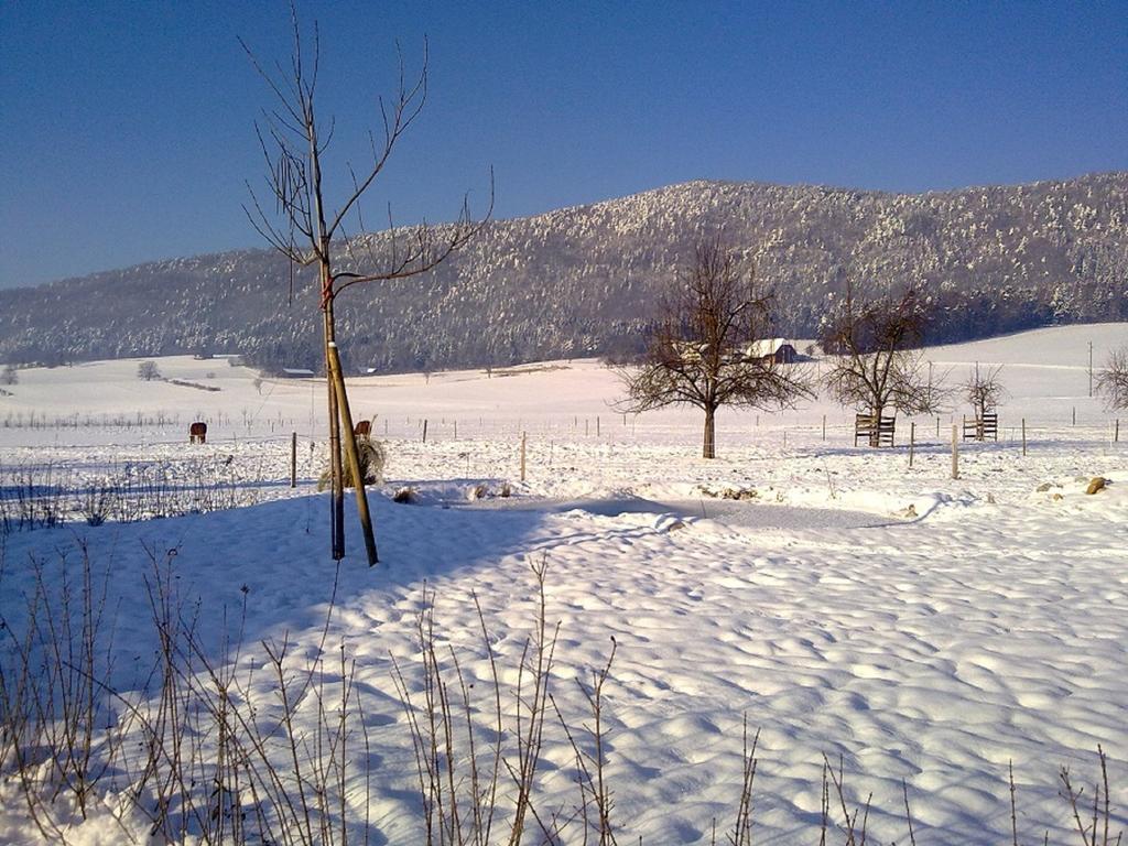 Hotel-Gite Rural A 3 Km De Delemont Courcelon Zewnętrze zdjęcie